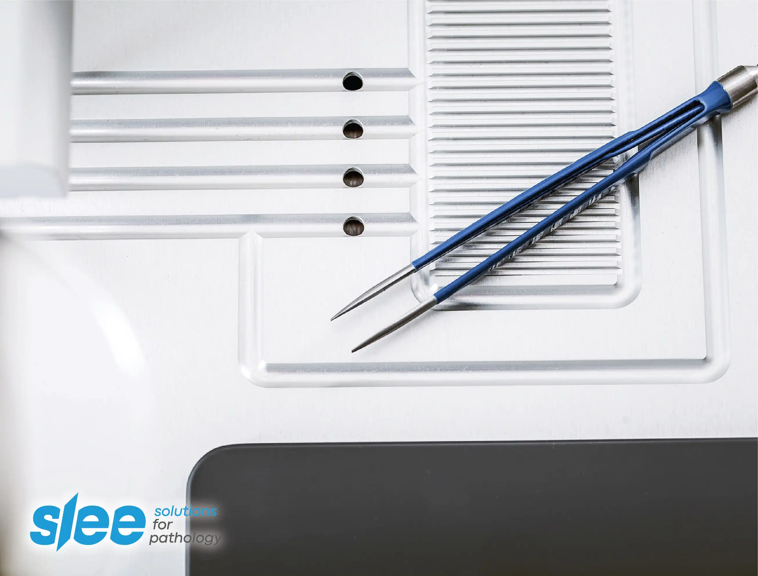 Slee Embedding Centers